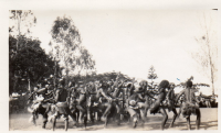 DK073