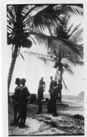 DK089