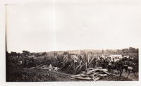 DK091