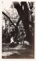 DK143