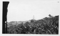 DK173
