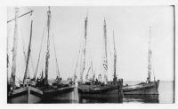 DK176