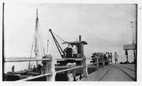 DK177