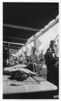 DK198