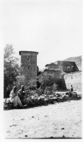 DK249