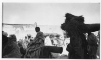 DK281