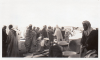 DK283