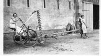 DK310