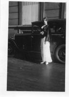 DK313