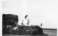 DK324