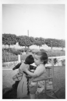 DK393