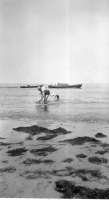 DK524