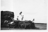 DK623