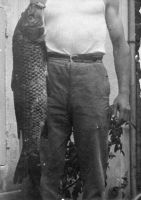 DK624