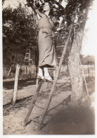 DK863