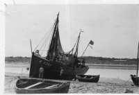 DK875