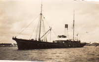 DK919