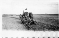 DL019