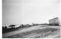 DL029