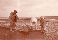 DL129