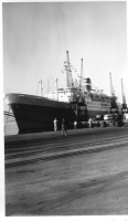 DL308
