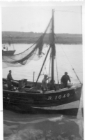 DL518