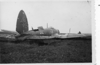 DL599