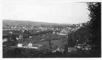 DL816