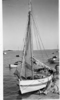 DL904