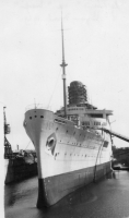 DM271