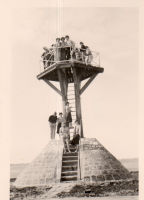 DM290
