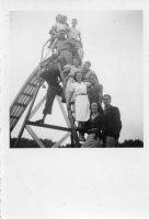 DM538