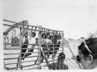 DM747