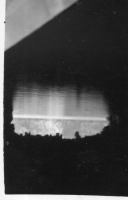 DM819