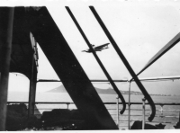 DM904