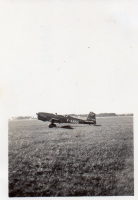 DM943