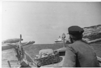 DN011