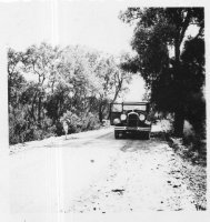 DN046