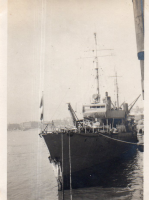DN119