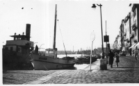 DN260