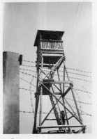 DN282