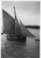 DN296