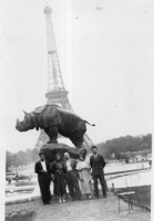 DN909