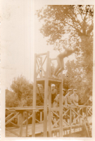 DN917