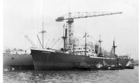 DP061