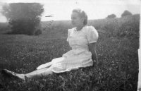 DP079