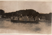 DP113