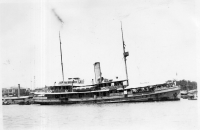 DP123