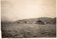 DP197