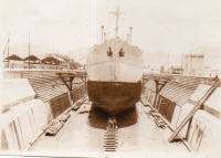 DP232